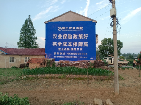 阜南墙体广告为何受追捧?